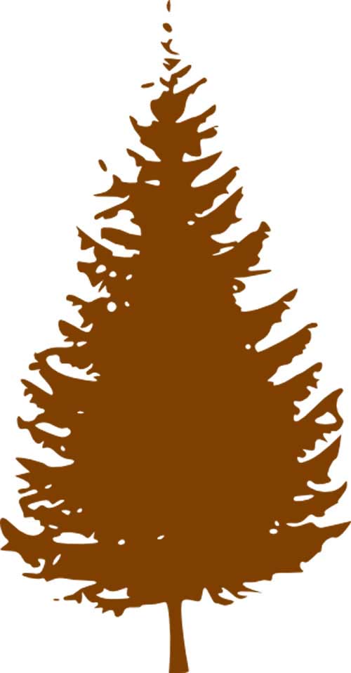 2015-brown-pine-tree